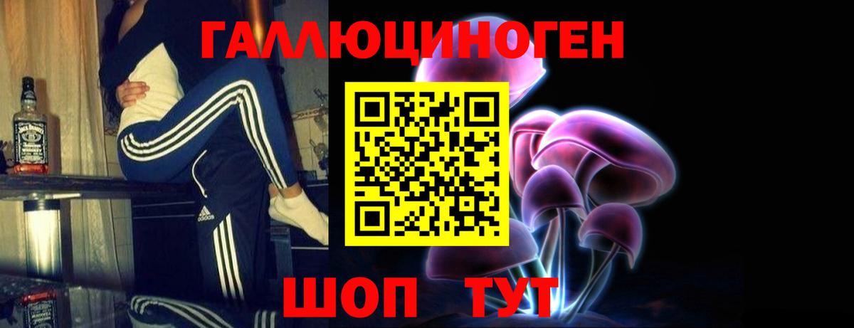 Галлюциногенные грибы прущие грибы  Вход с VPN  Нижнекамск  Псилоцибиновые грибы Psilocybine cubensis 