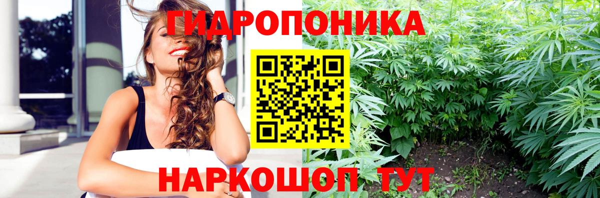 Каннабис планчик  Вход с VPN  Шишки марихуана THC 21%  Нижнекамск 